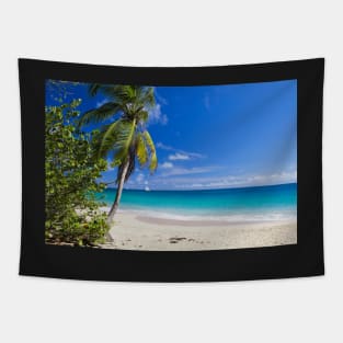 Caribbean Beach With Palm Tapestry