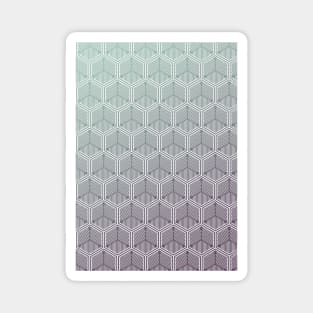 Hexagonal seamless pattern Magnet