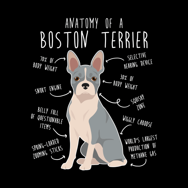 Blue Boston Terrier Dog Anatomy by Psitta