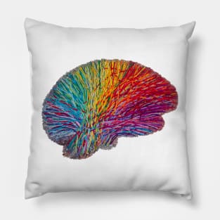 White Matter Brain - Embroidered Look - Rainbow Brain Pillow