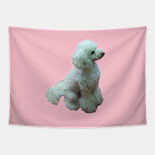 Apricot The Poodle Tapestry