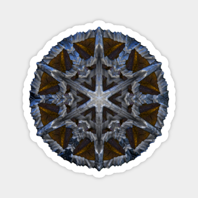 My Image 6
