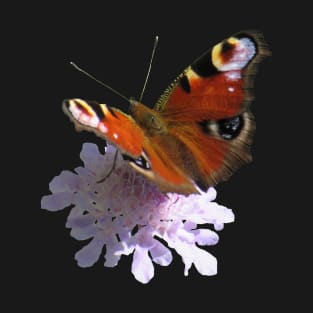 trendy with a beautiful flower, butterfly, peacock T-Shirt