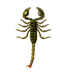 Scorpion T-Shirt