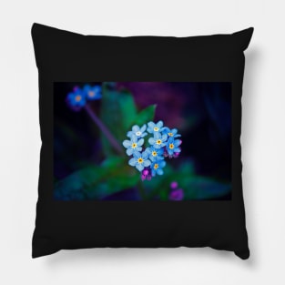Forget Me Not Flowers Pillow