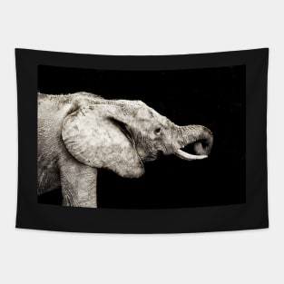 Rustic Elephant Tapestry