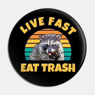 Raccoon Live Fast Eat Trash Pin