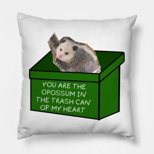 You are the opossum in the trash can of my heart Pillow