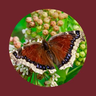 Mourning Cloak Butterfly Photograph T-Shirt