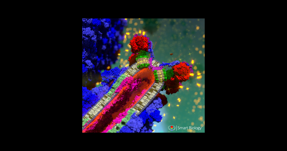 ATP Synthase - Atp - Sticker | TeePublic