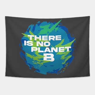 There is not planet B Tapestry