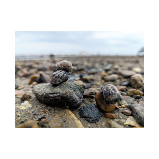 Snail and Rocks by searchlight