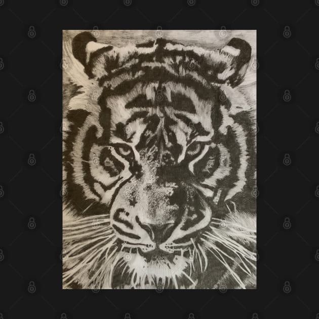 Tiger pencil drawing by Audrey Nagle