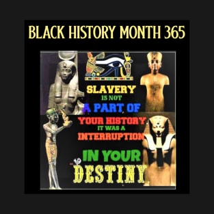 Black History is Before and Beyond Slavery T-Shirt