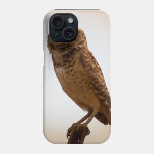 owl eyes Phone Case