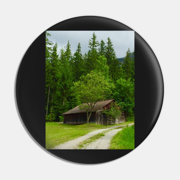 Old Cabin in the Woods Pin by ephotocard