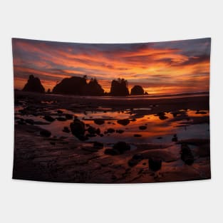 Shi Shi Beach Point of Arches sunset Tapestry