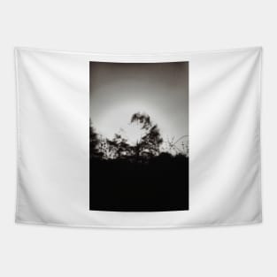 Tamarack Silhouette on Lake Minocqua Tapestry