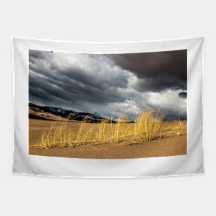 Great Sand Dunes Tapestry