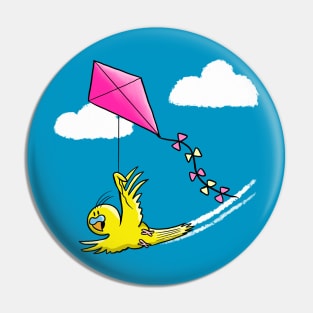 Flying a Kite Pin