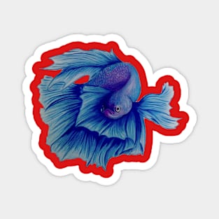 fish betta Magnet