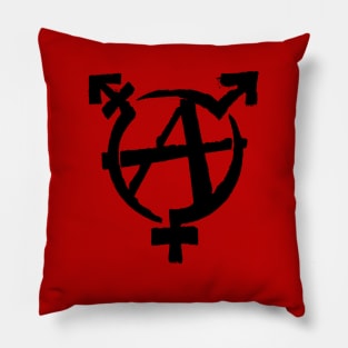 Gender Anarchy Pillow