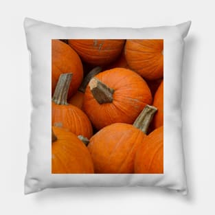 Pumpkin No 1 Pillow