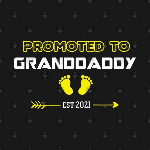 Promoted to GRANDDADDY Est 2021 by Everything for your LOVE-Birthday