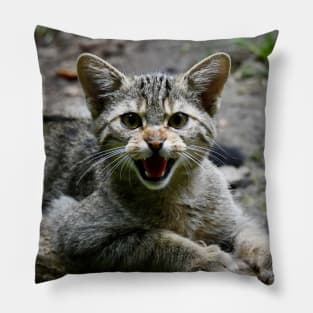 Wild Cat II / Swiss Artwork Photography Pillow