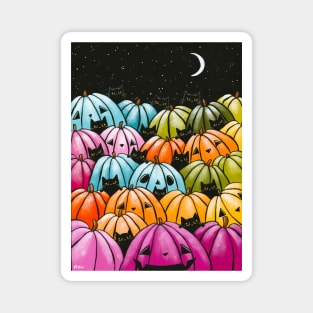 Black Cats and Rainbow Pumpkins Magnet