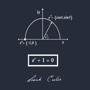 Euler  beautiful theorema maths T-Shirt