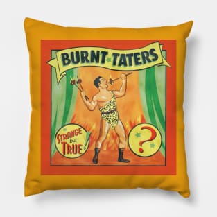 Strange But True front cover Pillow