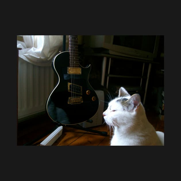 The Cat and the Guitar by Ladymoose