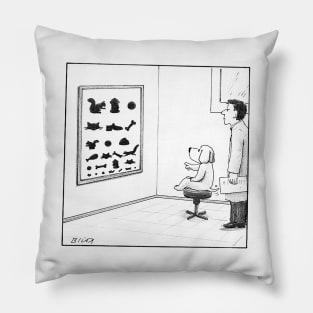 Eye Test Pillow