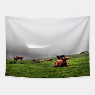 Highland cattle grazing on the misty coast of Islay, Scotland Tapestry