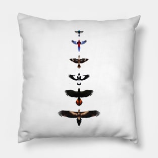 Australian Birds - Illustrated Pillow