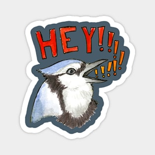 HEY!!! Blue jay! Magnet