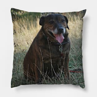 Bob the Dog Pillow