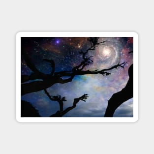 Black leafless tree branches Magnet