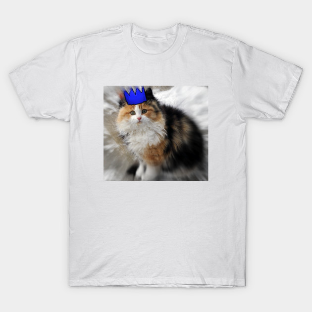 Kalico Cat Party Hat Kalicocat T Shirt Teepublic