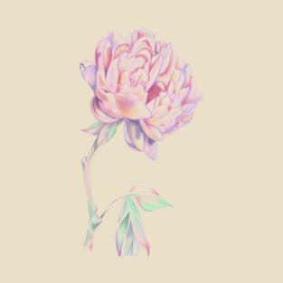 Peony Illustration T-Shirt