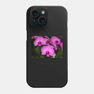 Purple Power: Moth Orchid or Phalaenopsis Phone Case