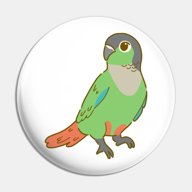 Green Cheek Conure Pin by casserolestan