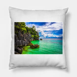 PARADISE COAST Pillow