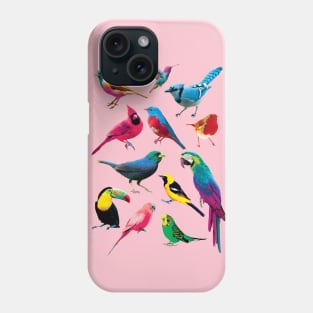 Colorful Birds Phone Case