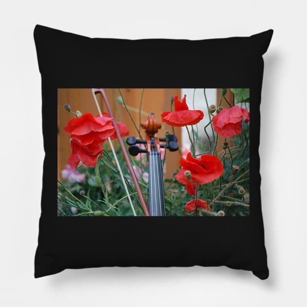 Poppies Pillow by declancarr