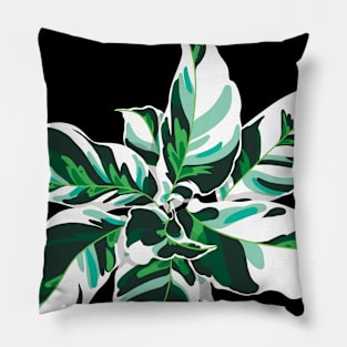 Calathea White Fusion Pillow