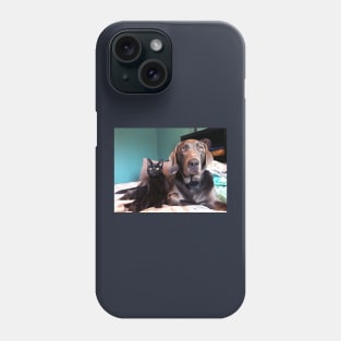 Grimm and Luna -  Black Cat and Gray Labrador :: Canines and Felines Phone Case