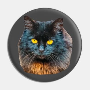 Mr Gold Eyes Pin