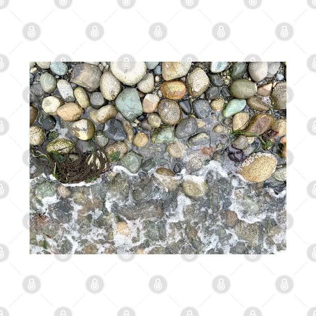 Pacific Northwest High Tide Beach Rocks Wave Foam Seaweed by SeaLAD